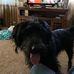 Dannie Jeffries - Facebook