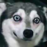 Danny Jian - @danny.jian.79 - Instagram