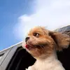 Danny.jian - @danny.jian - TikTok