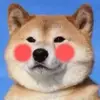 Danny Jiang16 - @dannyjiang16 - TikTok
