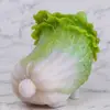 Danny_Jiang77 - @danny_jiang77 - TikTok