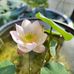 Danny Jiang - Facebook