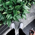 Danny Jiang - @jiangchihfeng - Instagram