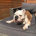 Danny de Jong - @dannydejong070 - Instagram
