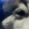 Danny - @dannyjulienmiekle - TikTok