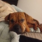 dannykahn - @dannykahn - Instagram