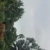 dannykarp40 - @dannykarp000 - TikTok