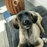 dannykate - @dannykate458 - Instagram