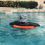 Daniel Komolafe - @danny_kay__ - Instagram