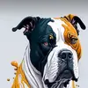 dannykay045 - @dannykay045 - TikTok