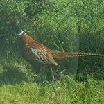 Danny Keating - @danny.keating.9 - Instagram