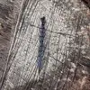 dannykeating517 - @dannykeating517 - TikTok