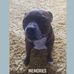 Danny Kehoe - Facebook