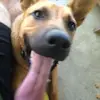dannykeith1618 - @dannykeith1618 - TikTok