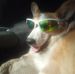 Dan Kellogg - Facebook