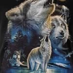 Danny Kirkpatrick - @danny.kirkpatrick.906 - Instagram