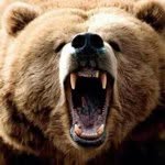 Danny Kirkpatrick - @zbearz - Instagram