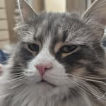 Danny Lalonde - @lalonde_danny - Instagram