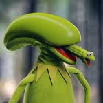 Danny Lear - @scarykermit - Instagram