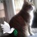 Danny Leblanc - Facebook
