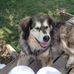 Dan LeDuc - Facebook