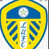 danny_leeds123 - @danny_leeds123 - TikTok