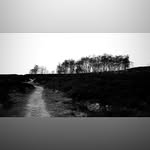 @dannyleeds_ - Instagram