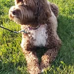 Danny Leeson - @danny.leeson - Instagram