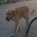 Dan Lehr - Facebook