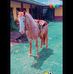 Danny Leiva - Facebook