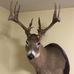 Danny Lewallen - Facebook