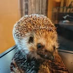 Danny Lewin - @dannylewin2003 - Instagram