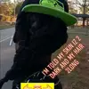 WhiteGIRLsHateMe - @dannylindsey09 - TikTok