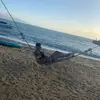 Danny Link - @d21lnk - TikTok