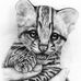 Danny Lovaton - Facebook