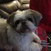 Danny Lovell - Facebook