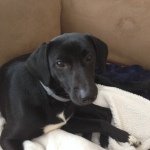 Danny Lyon - @dlyon157 - Instagram