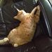 Danny Mabe - Facebook