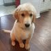 Danny MacDougall - Facebook