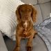 Danny Mackenzie - Facebook