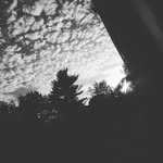 Danny - @danny_madison_ - Instagram
