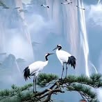 Danny Mak - Facebook