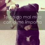 Danny - @dannymalik_ - Instagram