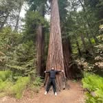 Danny Malik - @d.tmalik - Instagram