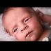 Dan Mallozzi - Facebook