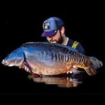 Danny Malone - @dm_carper - Instagram