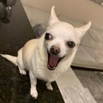Danny Manson - @dannyoboy32 - Instagram