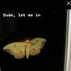 Danny - @dannymanz._ - TikTok