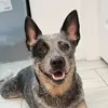 dannymanzano881 - @dannymanzano881 - TikTok