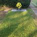 Dan Marcus - Facebook